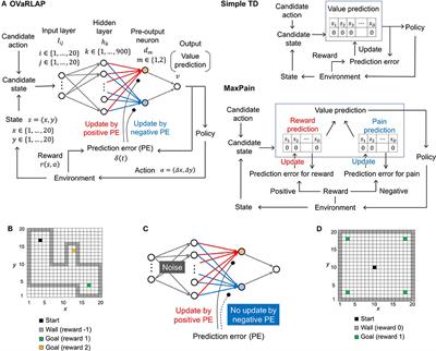 Computational Characteristics of the Striatal Dopamine System Described by Reinforcement Learning With Fast Generalization